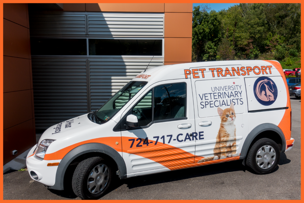 Pet Transport in Pittsburgh, PA - UVS Express Animal Ambulance